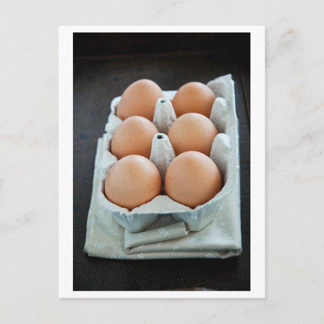 Ägg Vykort (Framsida)