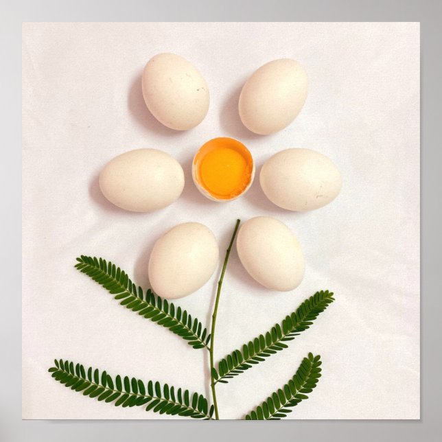 Ägg Yolk Flower Poster (Framsidan)