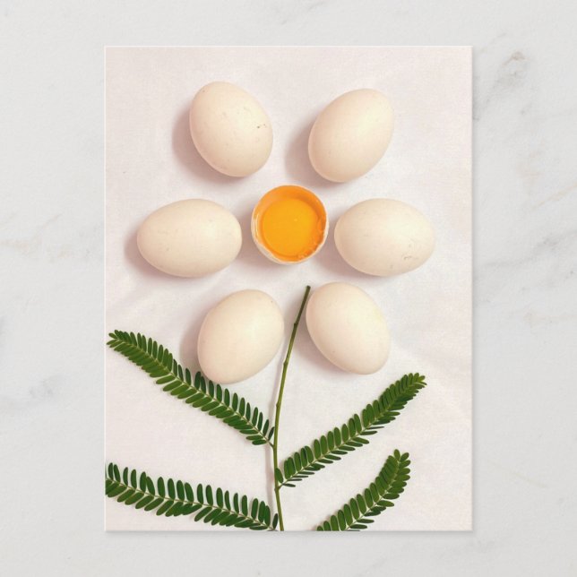 Ägg Yolk Flower Vykort (Framsida)