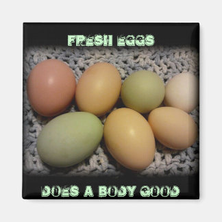 Äggar är Bror i kroppen Magnet