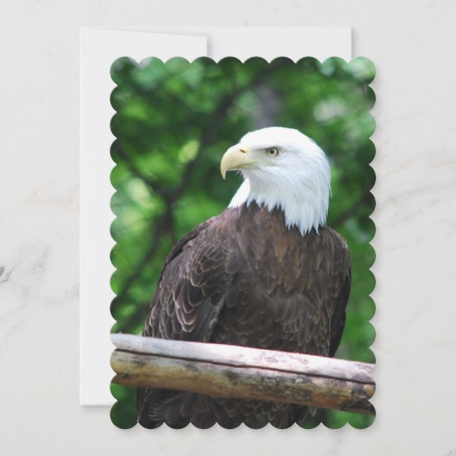 Äggel Inbjudningar (Framsida)