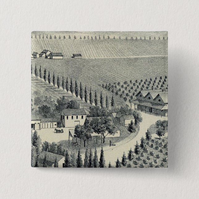 Äggers Vineyard, Fresno Knapp (Framsida)