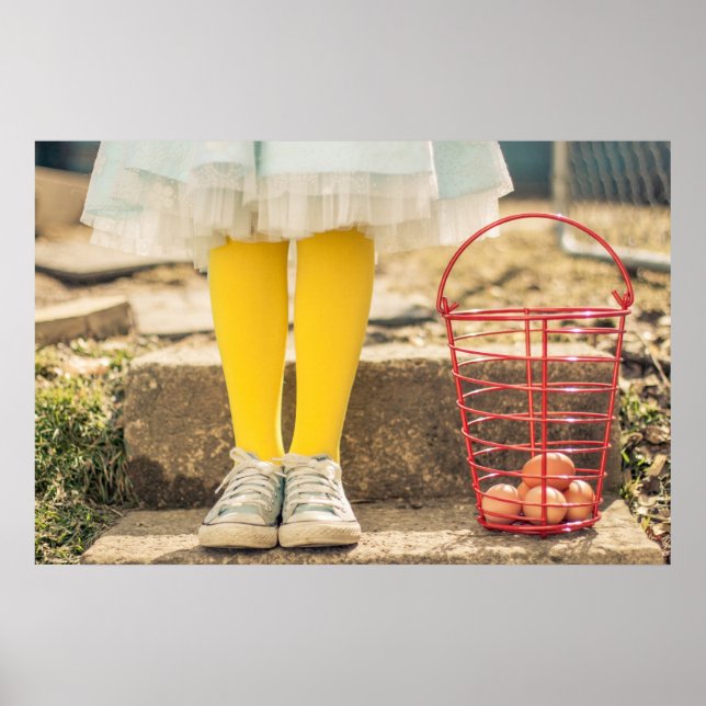 Ägginsamlaren Poster (Framsidan)