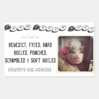 Äggkartetikett Rektangulärt Klistermärke