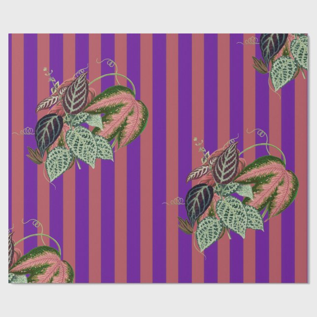 Äggplanta Presentpapper (Platt)