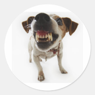 aggressiv runt klistermärke