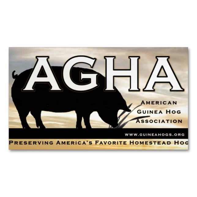 AGHA-färgmagnet Magnetiska Visitkort (Framsida)