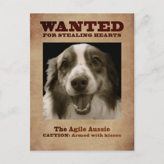 Agile Aussie Vykort