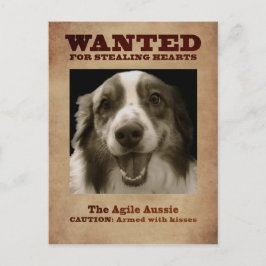 Agile Aussie Vykort