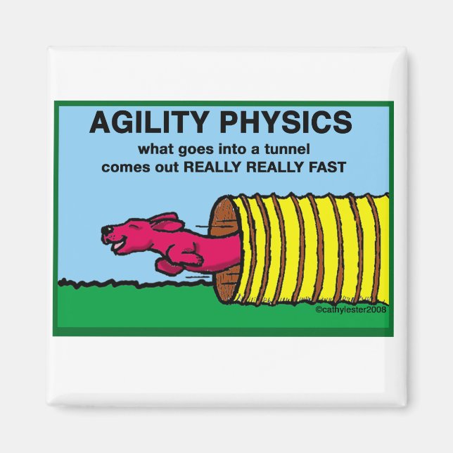 AgilitetFysik Magnet (Framsidan)