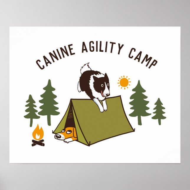 Agility Hund Cute Gräns Collie Camp Anpassningsbar Poster (Framsidan)