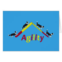 Agilityhund