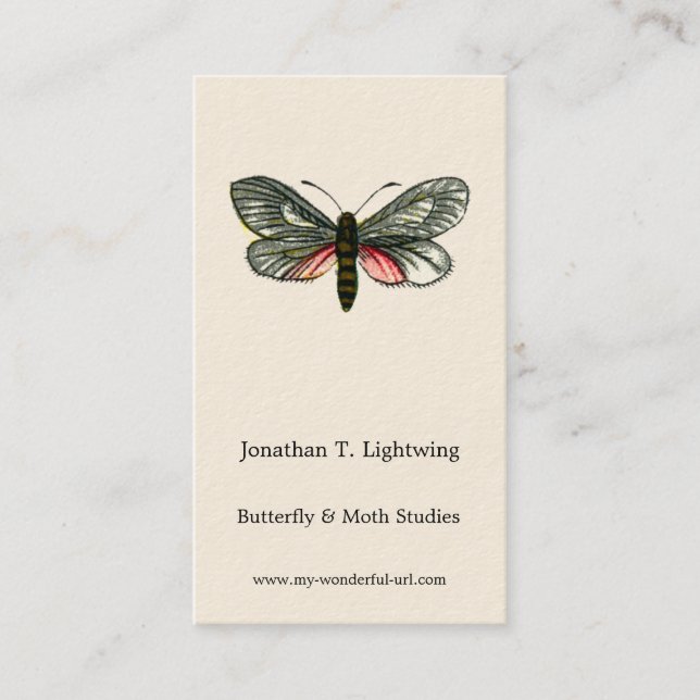 Aglaope infausta - Almond-Träd Löv Skeletonizer B. Visitkort (Framsida)