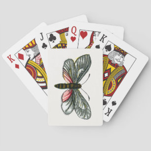 Aglaope infausta - Almond-Träd Löv Skeletonizer Casinokort