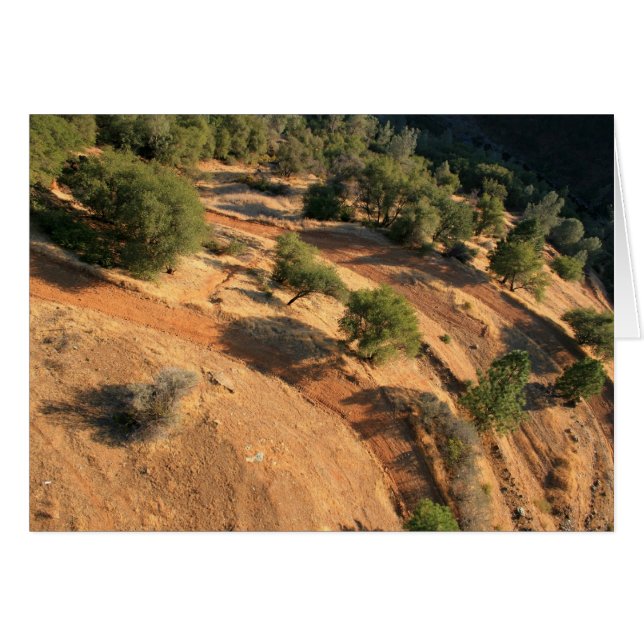 AgLe's öga vIeW Hälsningskort (Framsidan Horizontal)