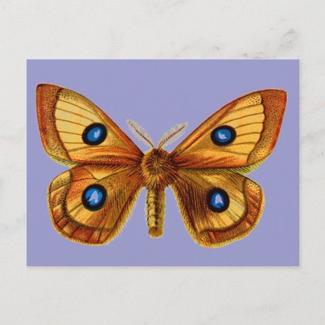 Aglia Tau handjur Vykort (Framsida)