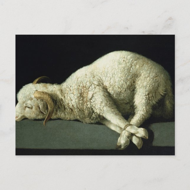 Agnus Dei, 1635-40 Vykort (Framsida)