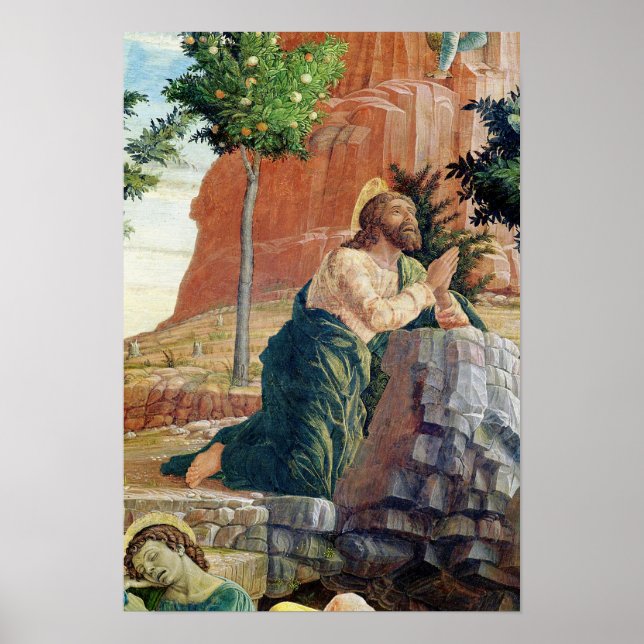 Agony i Garden Poster (Framsidan)