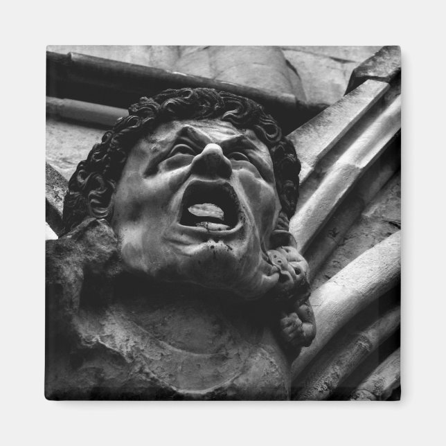 Agony of the Biting Imps Gothic Gargoyle Magnet (Framsidan)