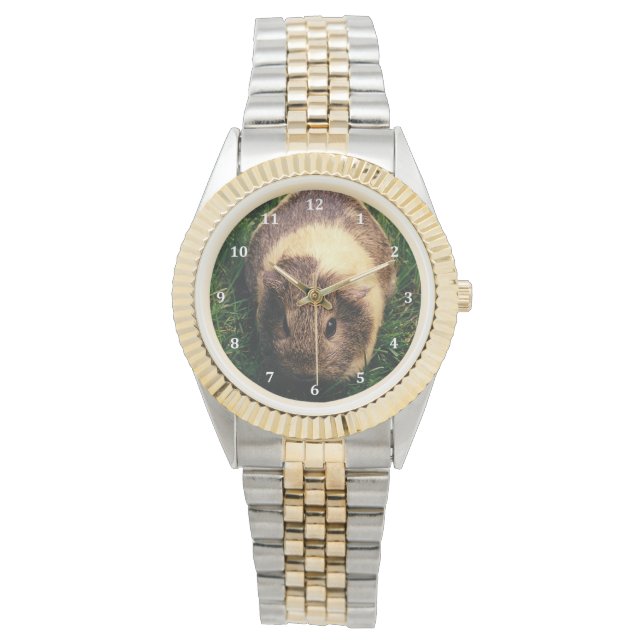 Agouti Guinea Gris i Grass Armbandsur (Framsida)