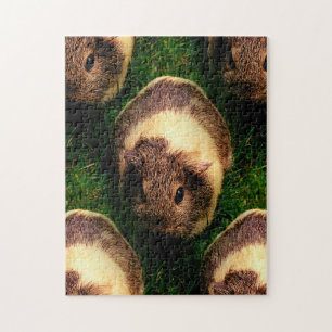 Agouti Guinea Gris i Grass Pussel