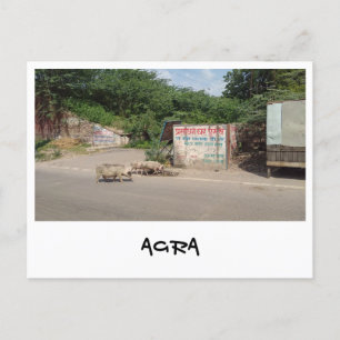 Agra, Uttar Pradesh, Indien Vykort
