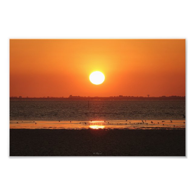 Agrandissement photo fototryck (Framsidan)