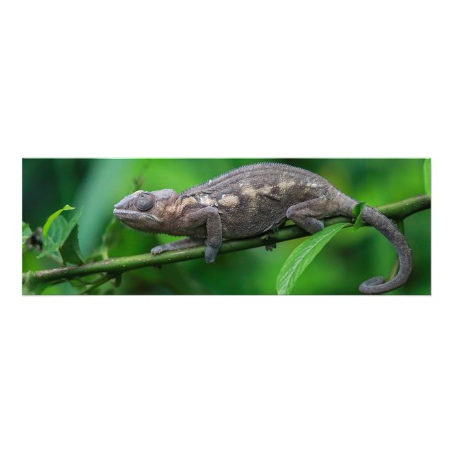 Agrandissements photo fototryck (Framsidan)