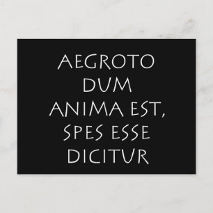 Agroto dum anima est spes esse dicitur vykort