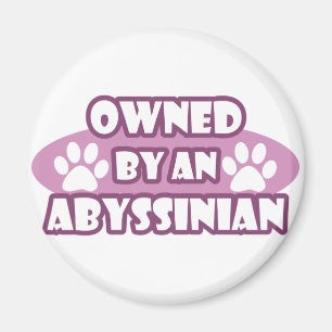 Ägs av en Abyssinian Magnet