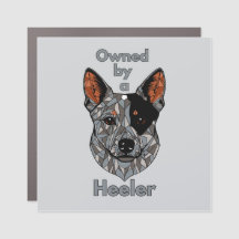 Ägs av en Heeler (blå)