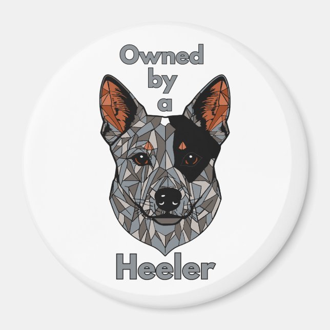 Ägs av en Heeler (blå) Magnet (Framsidan)