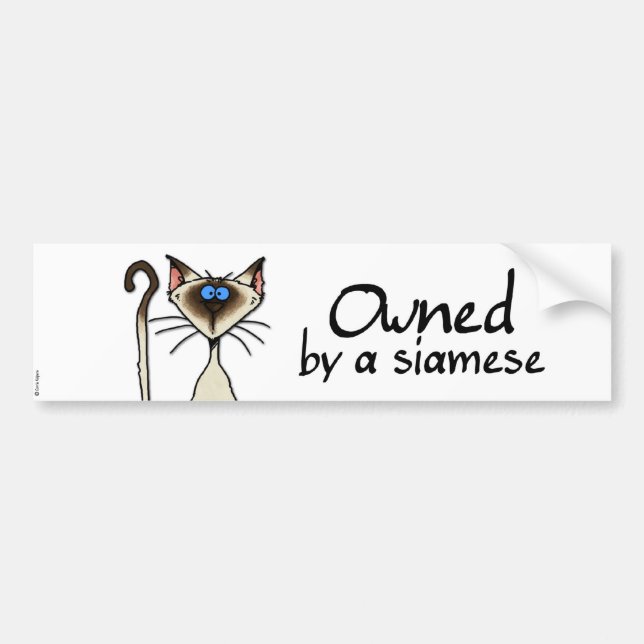 Ägs av en siames bildekal (Framsidan)