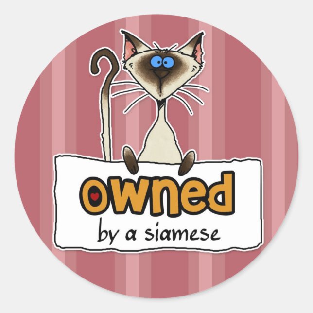 ägs av en siamesisk runt klistermärke (Framsida)