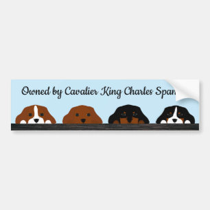 Ägt av Cavalier Kung Charles Spanska Bildekal