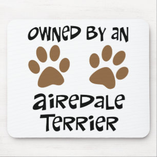 Ägt av en AiredaleTerrier Musmatta