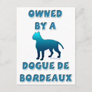 Ägt av en Dogue de Bordeaux Vykort
