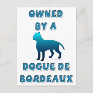Ägt av en Dogue de Bordeaux Vykort