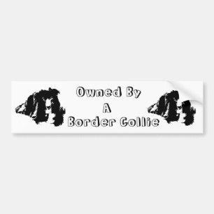 Ägt av en Gräns Collie Funny Bumper Sticker Bildekal