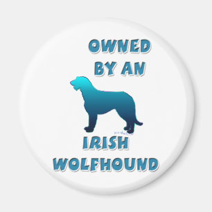 Ägt av en irländsk Wolfhound Magnet