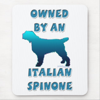 Ägt av en italienska Spinone Musmatta