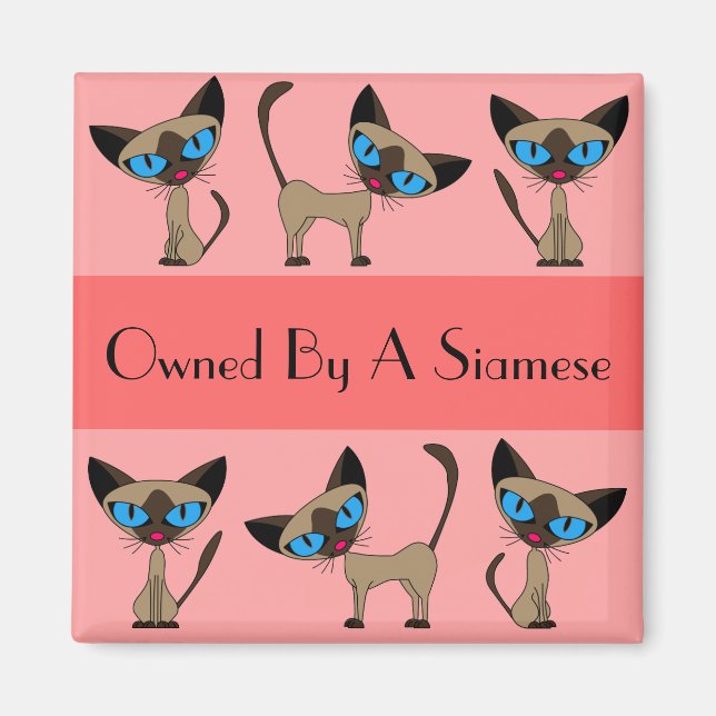 Ägt av en siamesisk magnet (Framsidan)