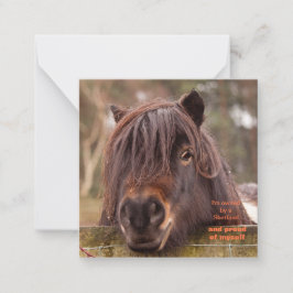 Ägt av ett Shetland-sedelkort Anteckningskort