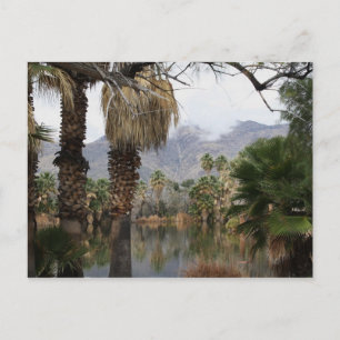 Agua Caliente Park Tucson Az Vykort