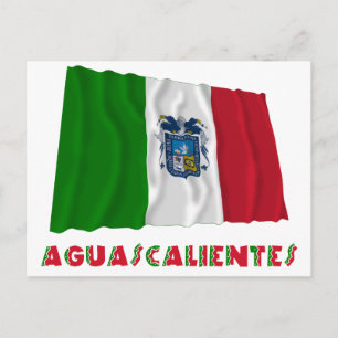 Aguascalientes Wave Onofficiell Flagga Vykort