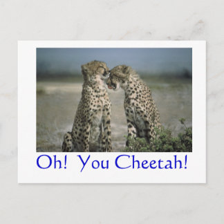 Åh! Din Cheetah! Vykort