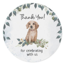 Åh, grabben! Retriever Puppy Hund Tack