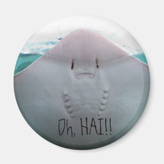 Åh, HAI! Stingray Magnet