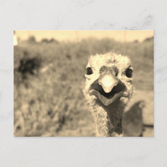 Åh... Hej! -Vykort Vykort (Framsida)