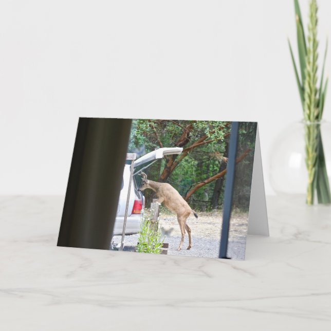 Åh Hjort! Kort (Framsida)